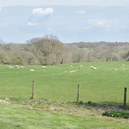 Feriehus Rushgill House *